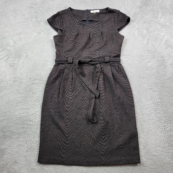 Calvin Klein Shift‎ Dress Womens 6 Brown Tiger Striped Belted Capped Sleeve - Picture 1 of 9